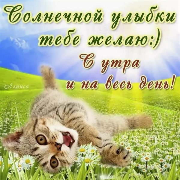Пожелания доброго утра прикольные