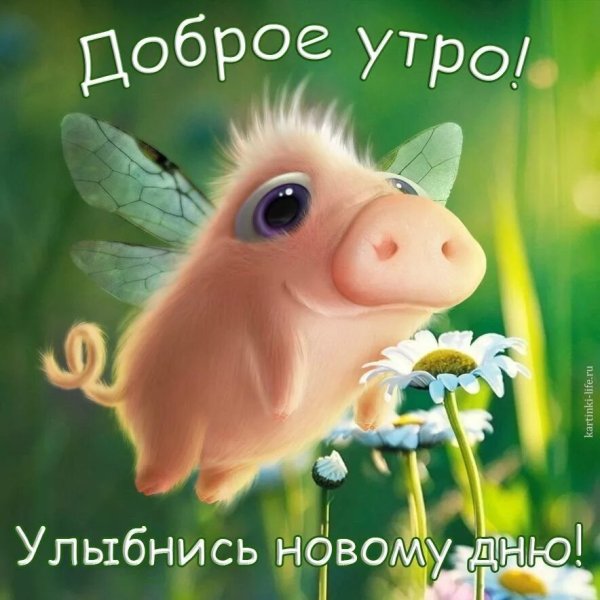 Доброе утро красавица
