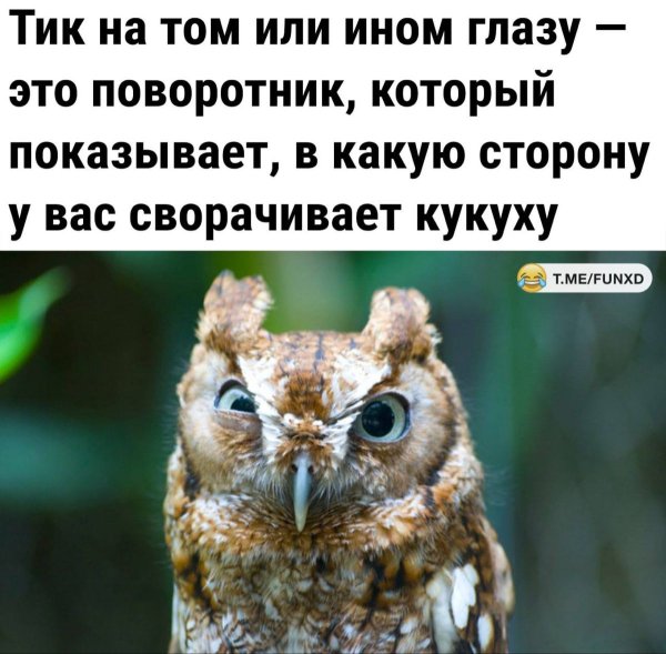 Доброе утро прикол