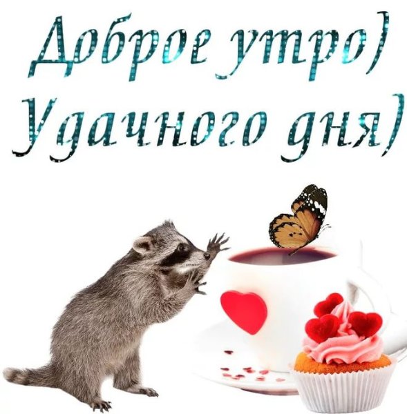Открытки с добрым утром прикольные