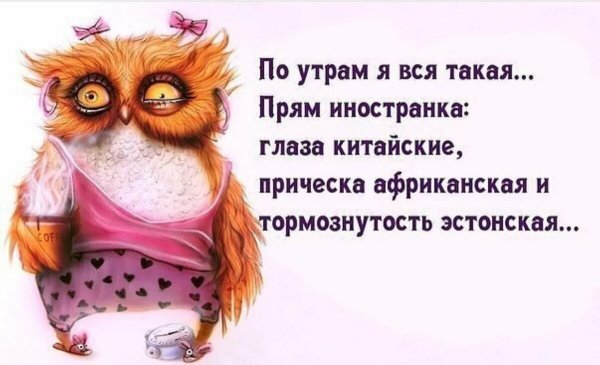 Доброе Воскресное утро прикольные