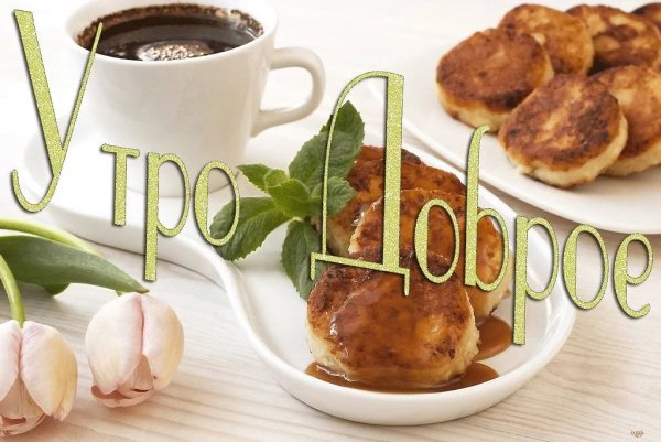 Доброе утро кролик
