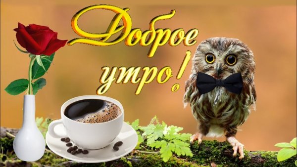 Утренние пожелания для поднятия настроения