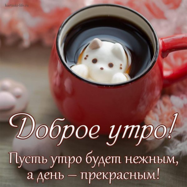 С добрым утром сестренка
