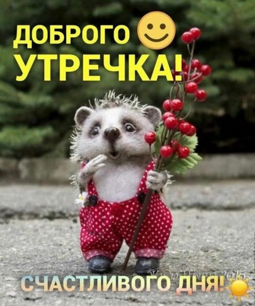 Пожелания доброго утра прикольные