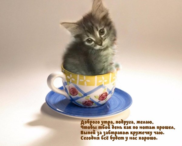 Смешная чашка кофе