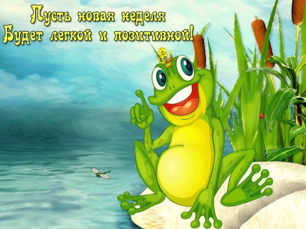 Открытки с добрым утром с медвежатами