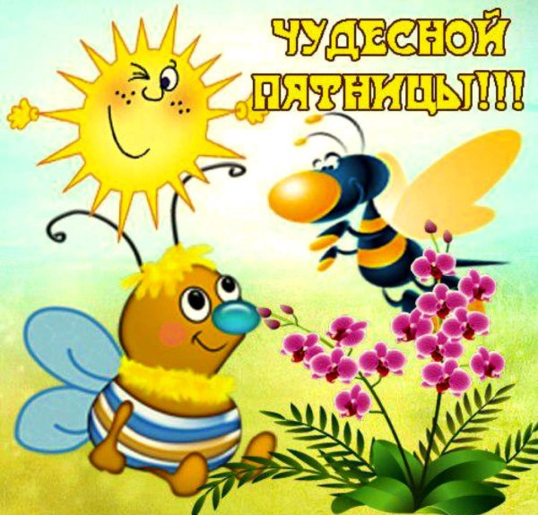 Доброе утро вторника