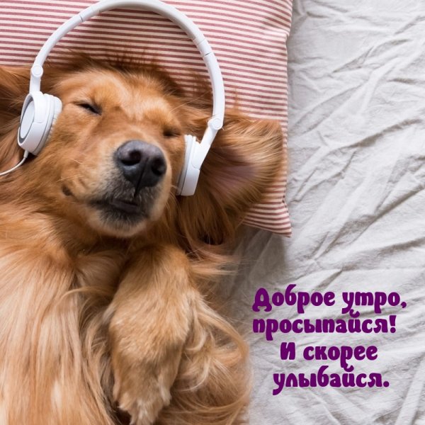 Доброе утро улыбнись