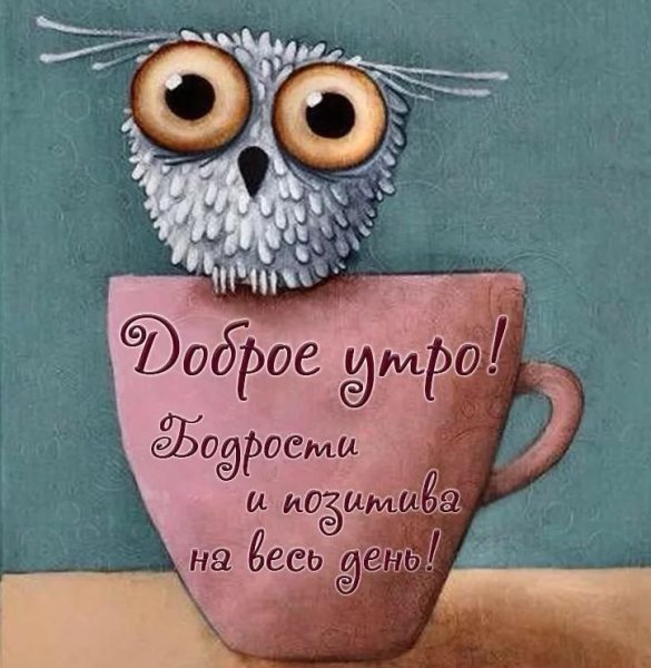 Открытки с добрым утром смешные