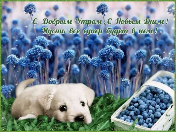 Открытки доброе утро