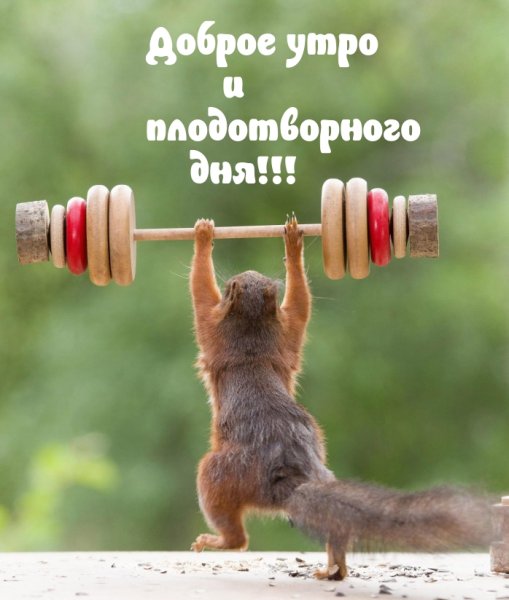 Хорошего плодотворного дея