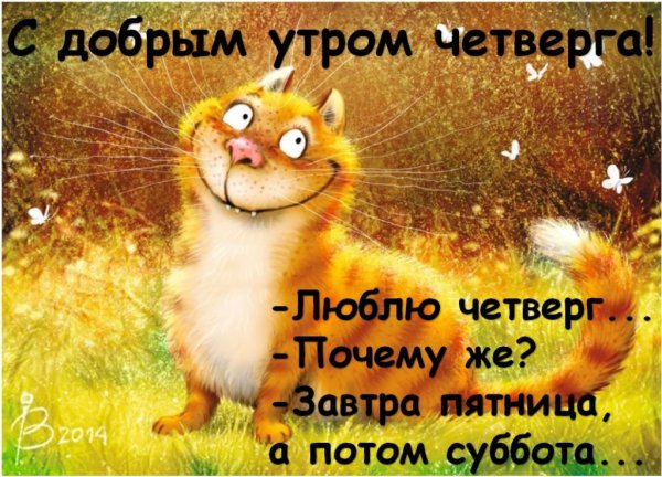 Доброе утро четверга