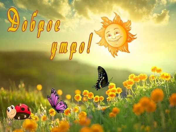 Доброе солнечное утро