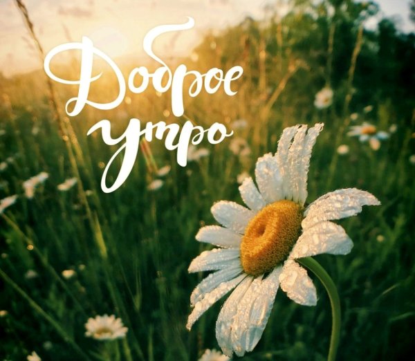 Доброе утро жизнь