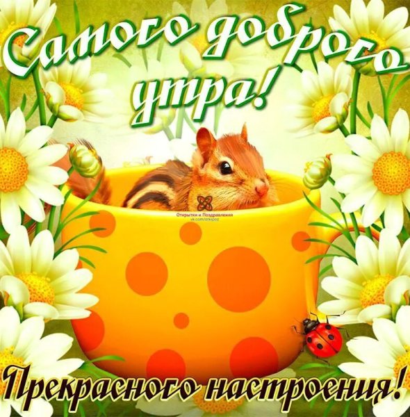Дорого утра и хорошего настроения
