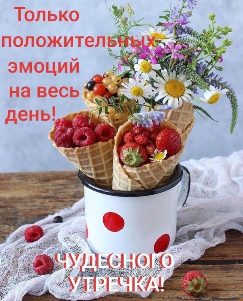 Пожелание с добрым утром с кошечками