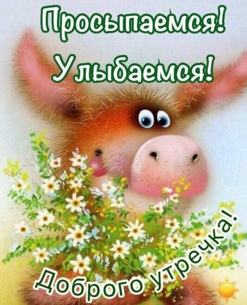 С добрым утром