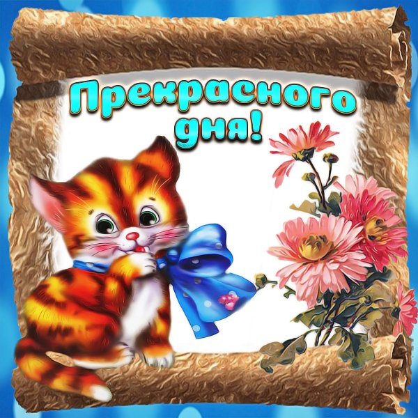 Открытки с добрым днём