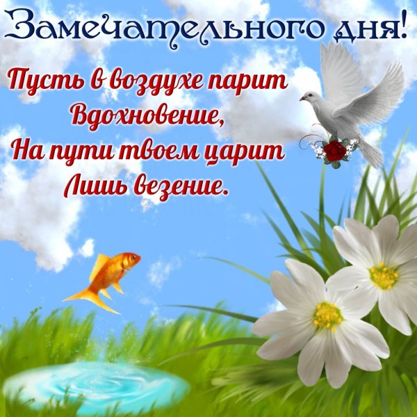 Открытки с пожеланиями хорошего дня