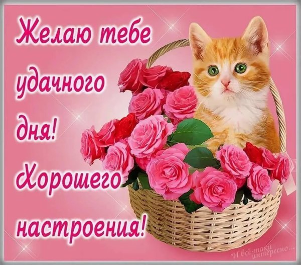 Пожелания доброго дня