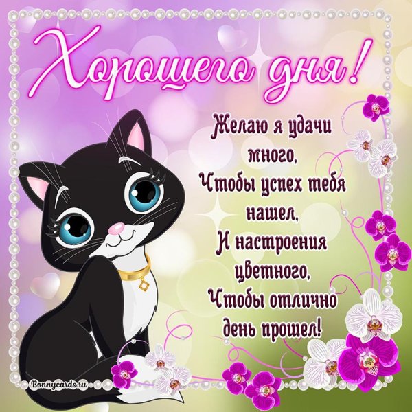 Пожелания доброго дня