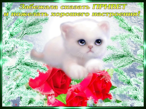 Хорошего субботнего дня