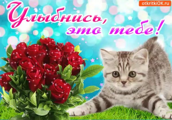 Добрые пожелания