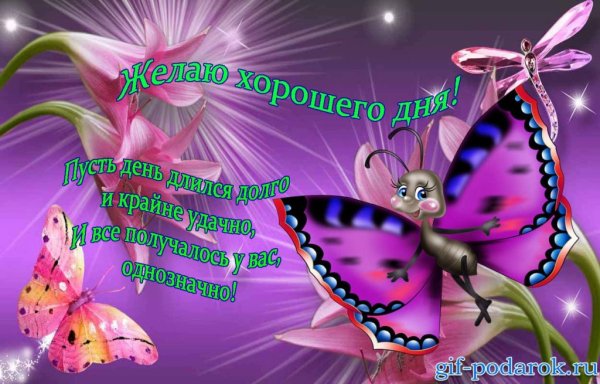 Хороший день