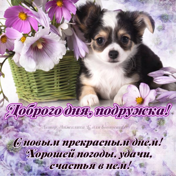 Открытка прекрасный день