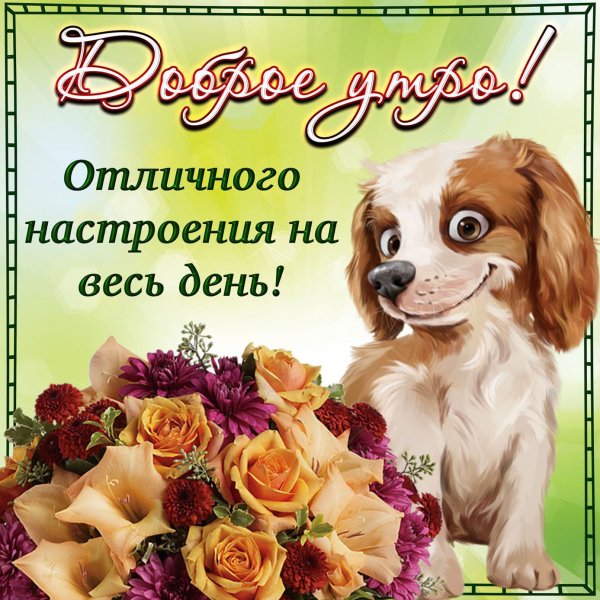 Открытка прекрасный день