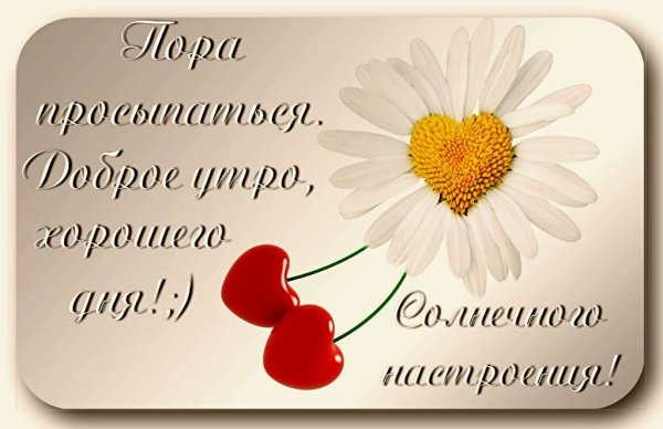 Доброе утро лилии