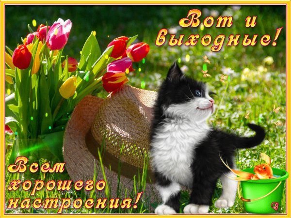 Хорошие пожелания