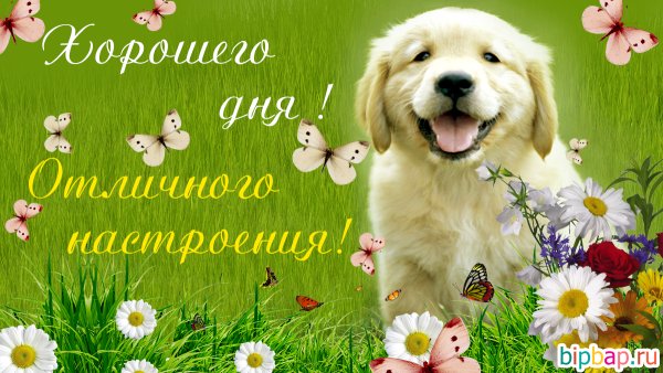 Красивые открытки хорошего настроения