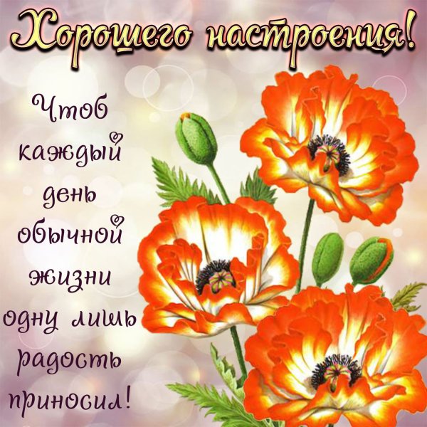 Позитивные пожелания на день