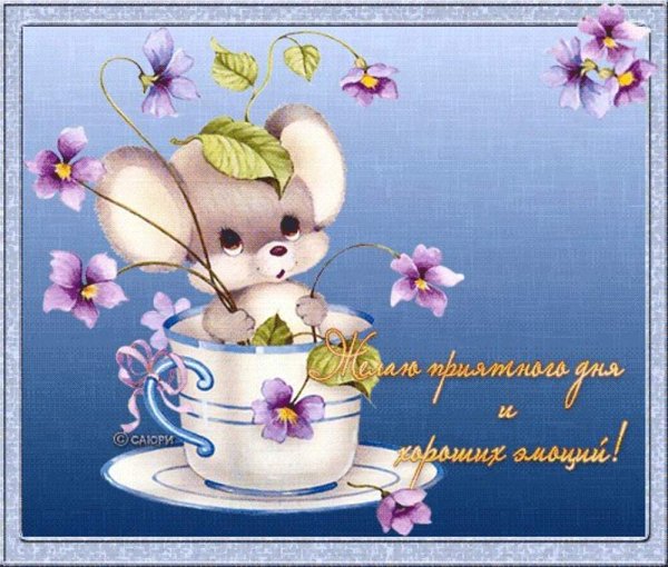 Приятные пожелания на день