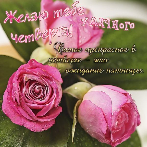 Красивое поздравление с новым днем