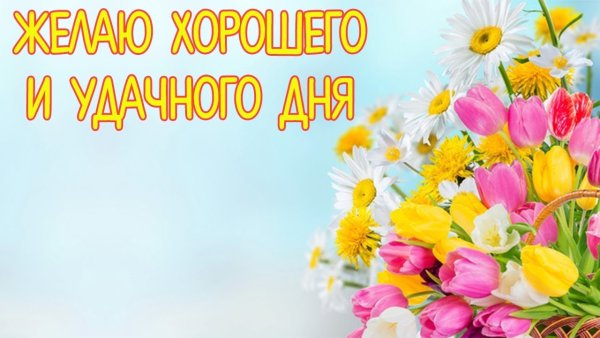 Поздравление с прекрасным днем