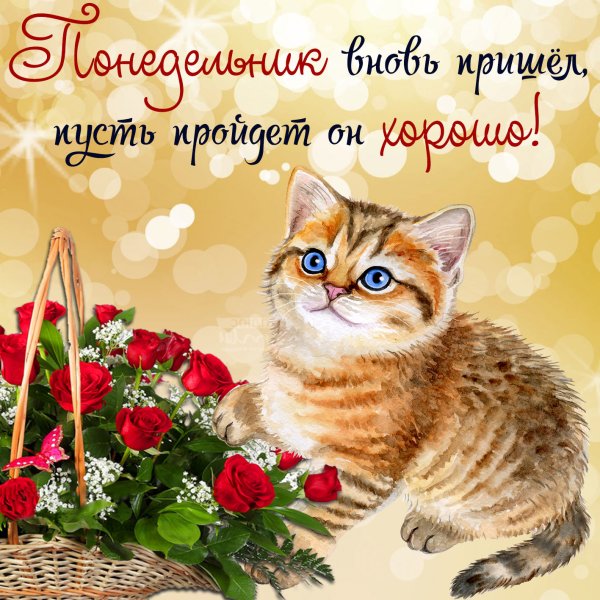Открытки с самыми лучшими пожеланиями