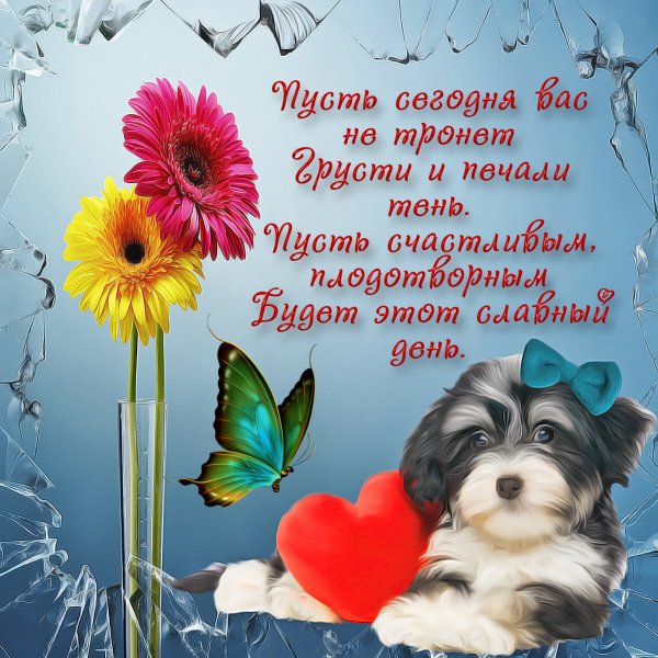 Поздравление с понедельником