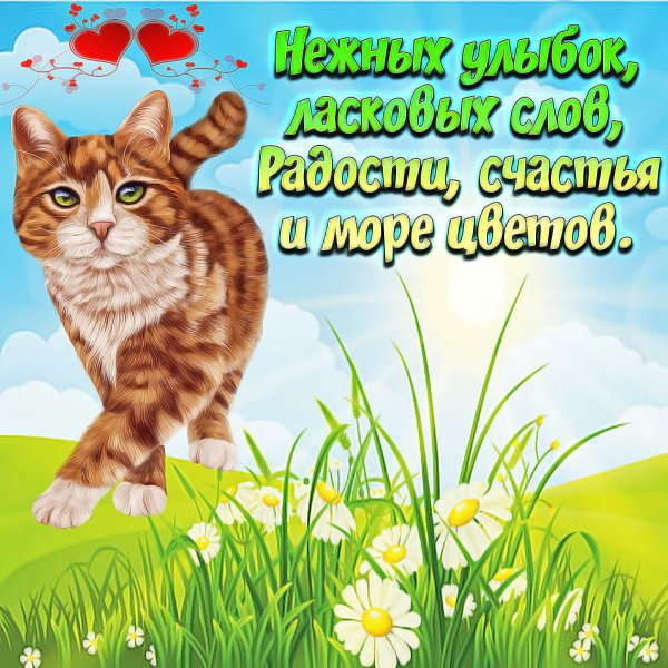 Картинки с добрыми пожеланиями