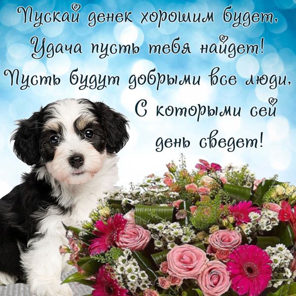 Прекрасного настроения