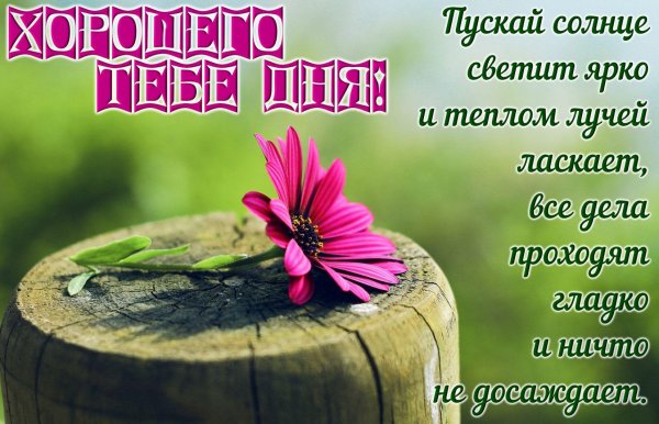 Приветик и отличного настроения