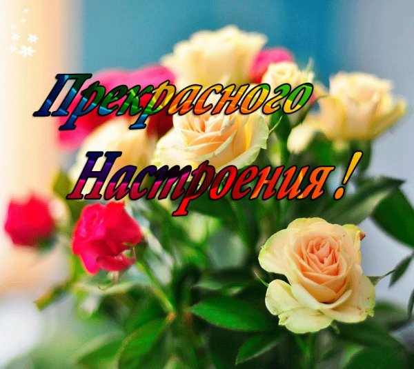 С летом поздравления