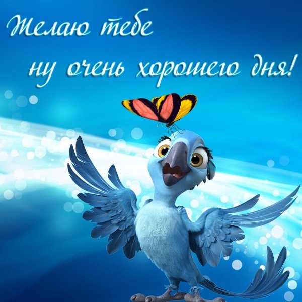 Открытки с котиками хорошего настроения