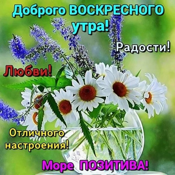 С добрым весенним утром