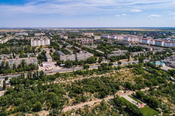 Бык солевоз Энгельс