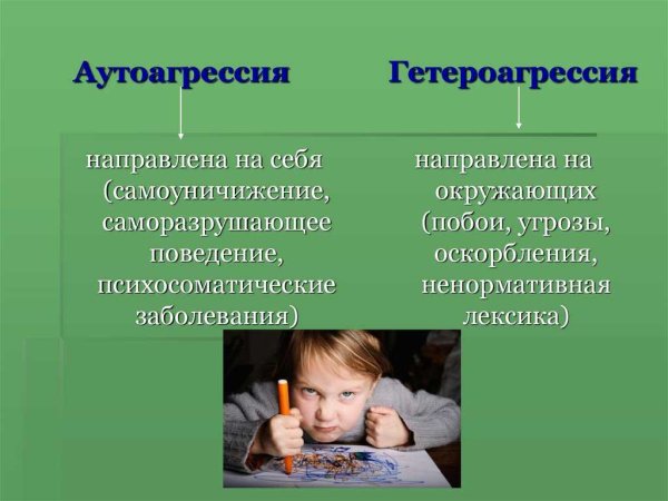 Агрессия и аутоагрессия