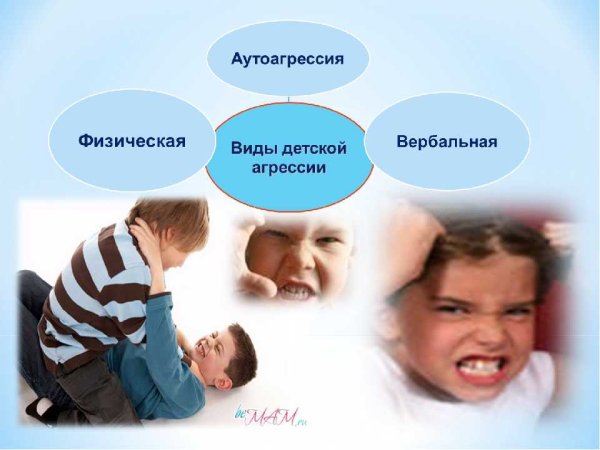 Агрессия и аутоагрессия
