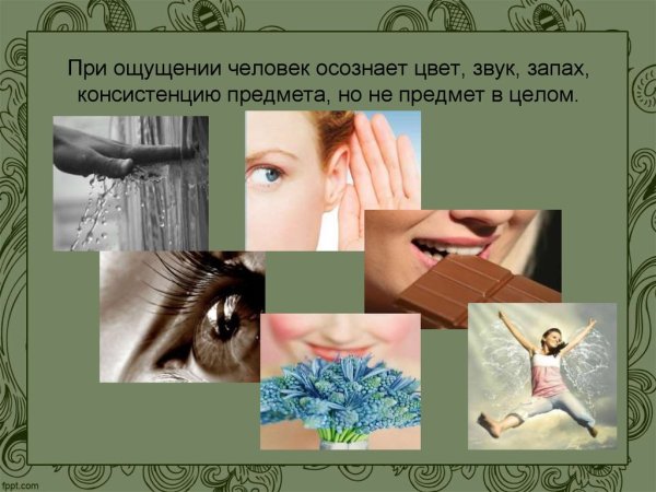 Ощущения психология презентация